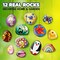 12 Rock Painting Kit Decorate Your Own Painting Craft Birthday Gifts